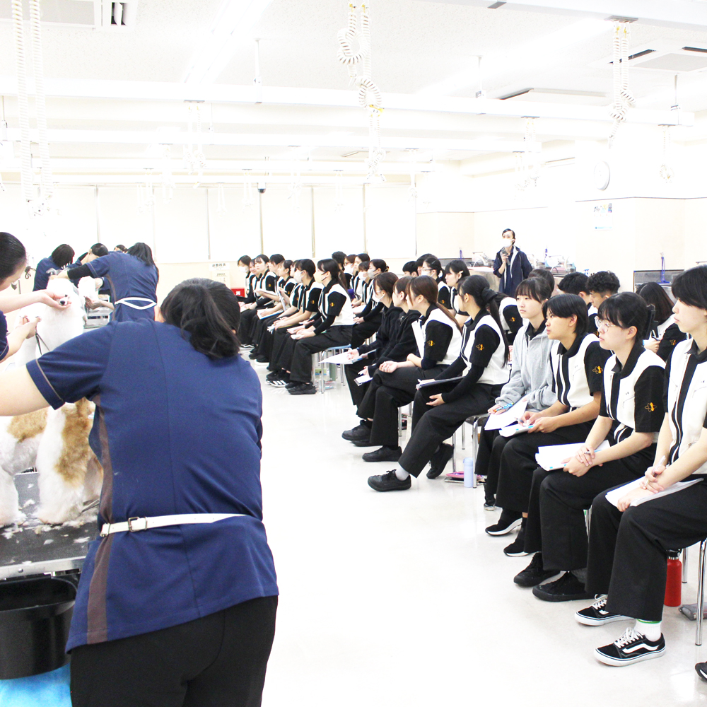 １年生へ、先生の試技会！Part①